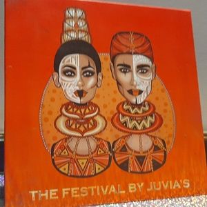 Juvia's Place the Festival Palette